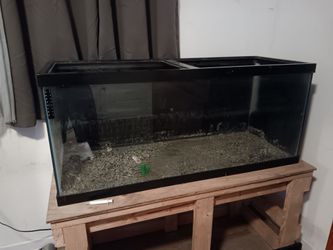 FREE 75GL TANK