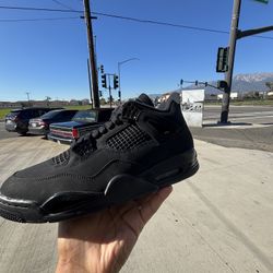 Jordan 4 Black cats