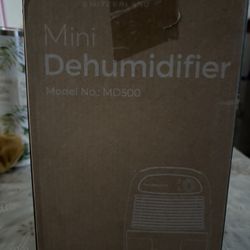 Mini Dehumidifier 