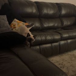 Big Leather Couch - Pull Out Beds
