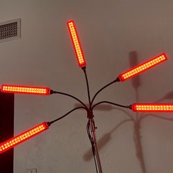 Red Light Therapy lamp