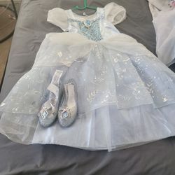 Halloween Cinderella Custome 