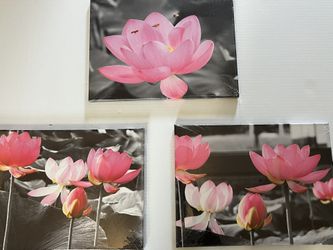 Artbay 3 Pieces