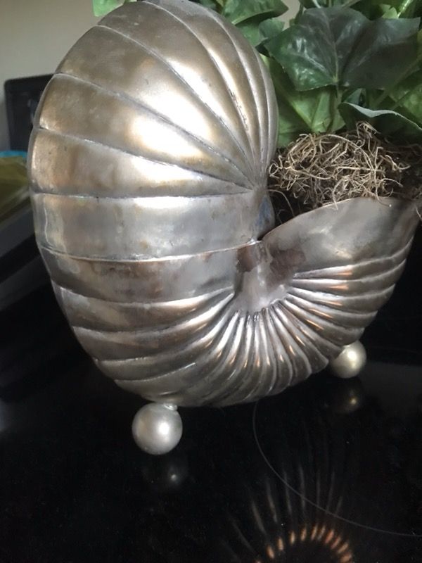Foot high silver conch shell for decoration