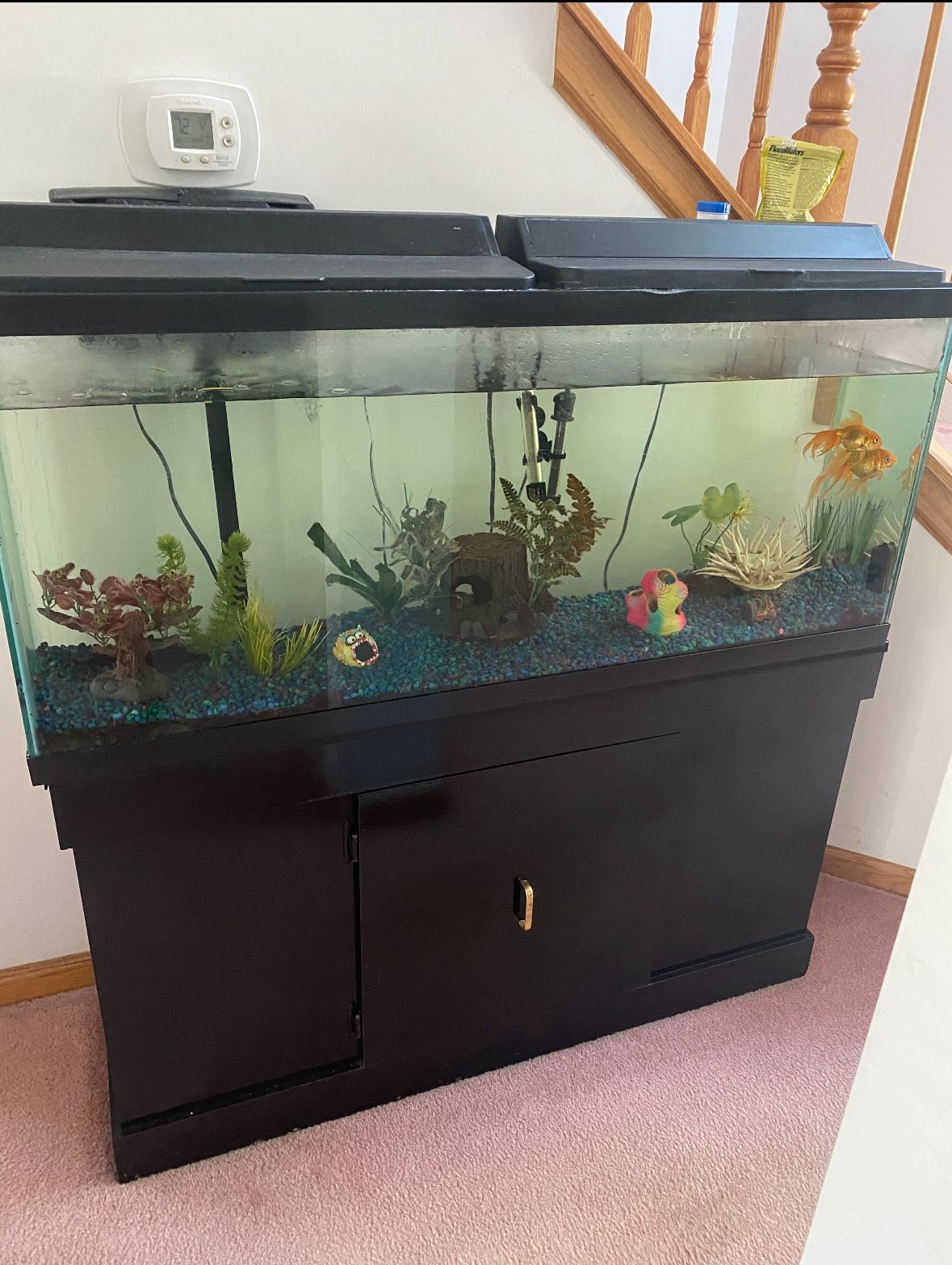 Fish Tank 55 Gallon