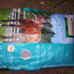 Safe Choice Senior Lm