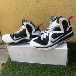 Lebron James Shoes 