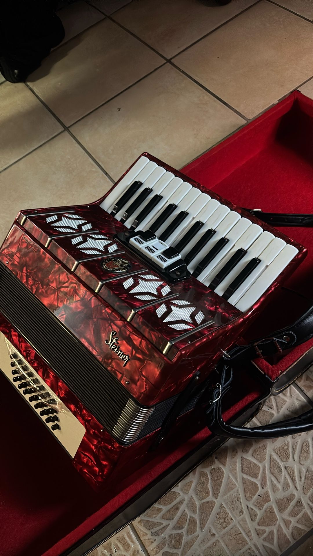 Steiner Tecla Accordion
