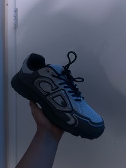 Dior b30