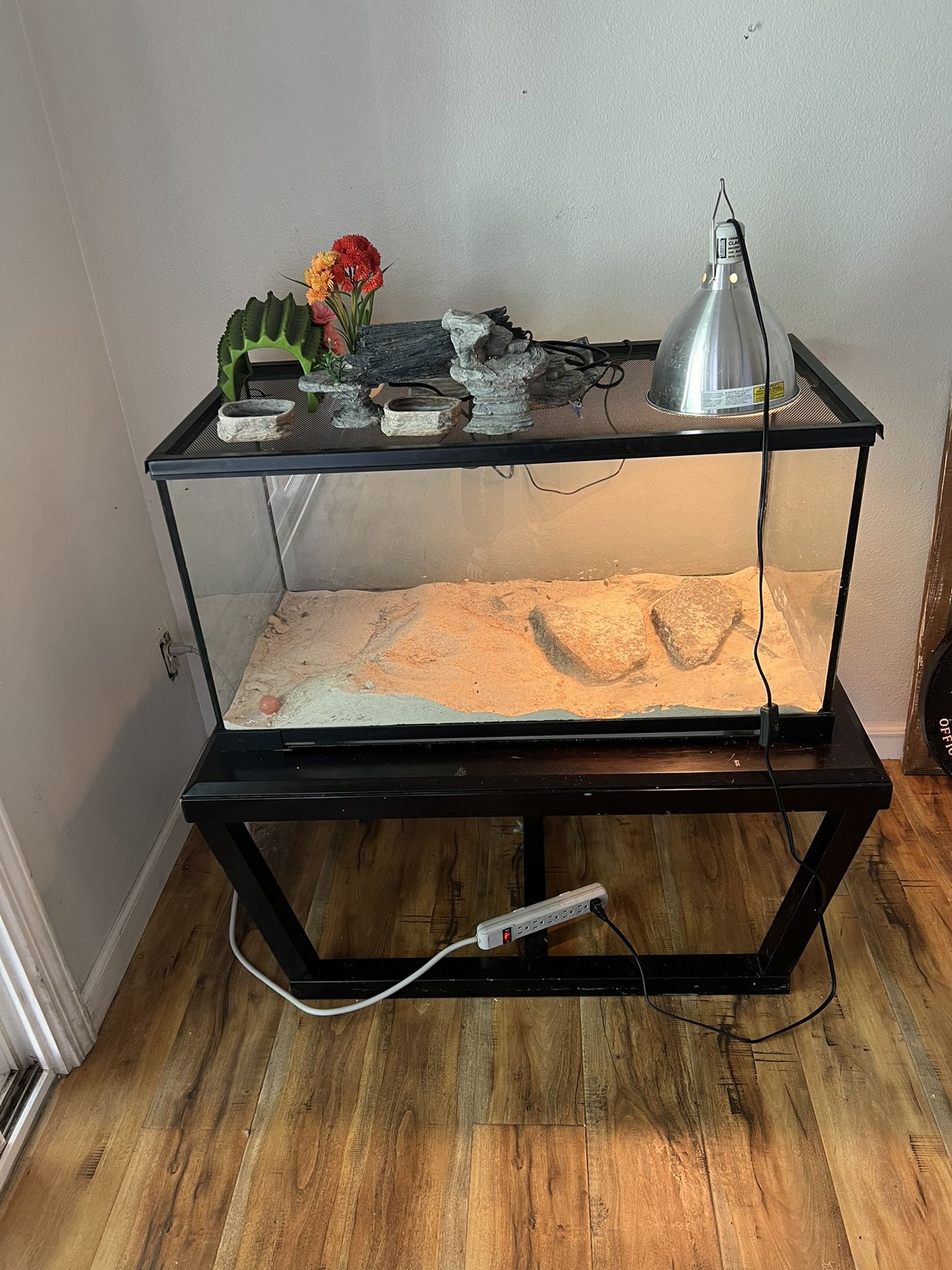 Lizard Tank Set Up And Accessories 