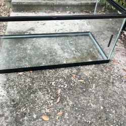 🐟 🐟55 Gallon Fish Tank!!!!🐠 🐠 