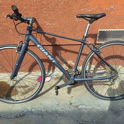 Giant Bike