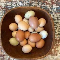 Fresh Chicken Eggs 🥚 