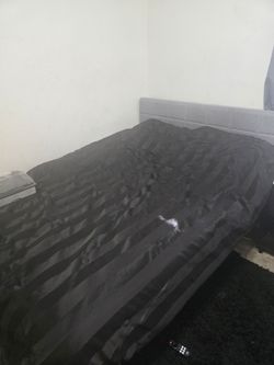 Bed (contact info removed)
