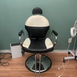 Salon Chair 