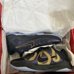 Nike Kobe 5 Protro Year of the Mamba Eggplant 