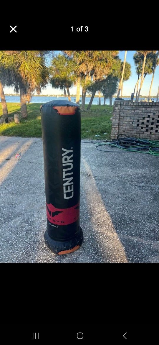 ‼️ JUNETEENTH SALE ‼️ - Century punching bag