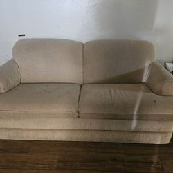 La-Z-Boy Pull Out Sofa 