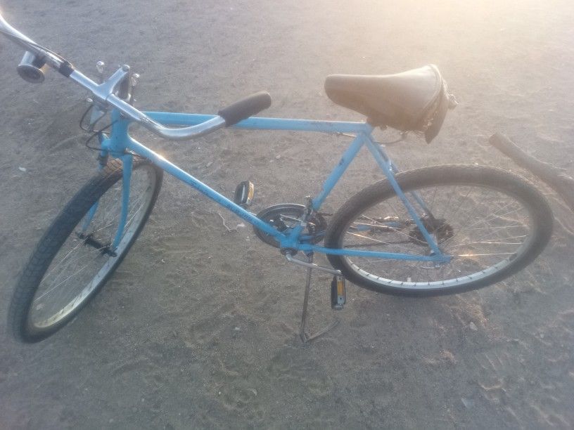 Schwinn Suburban Cruiser 