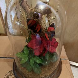 Vintage Butterfly/folage Glass Domed Terraniam