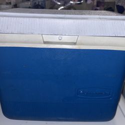 Ice Chest (little) Rubbermaid