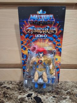 Mattel Masters of the Universe x ThunderCats