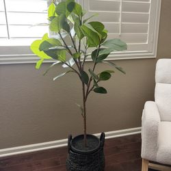 4ft Tall Artificial House Plant 🪴 With Basket