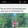 Moises