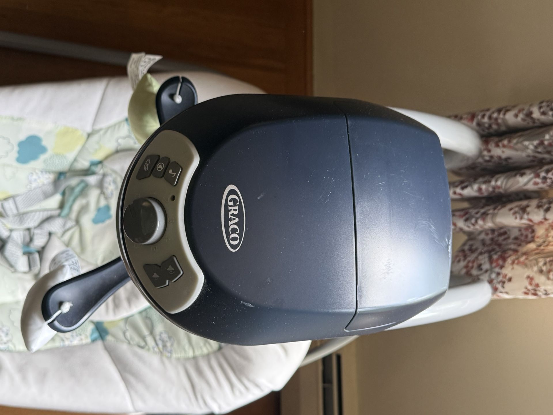 Graco Swing
