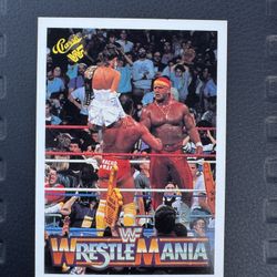 🇺🇸 Hulk Hogan/Macho Man Randy Savage 1990 Classic WWF History of WrestleMania #33 
