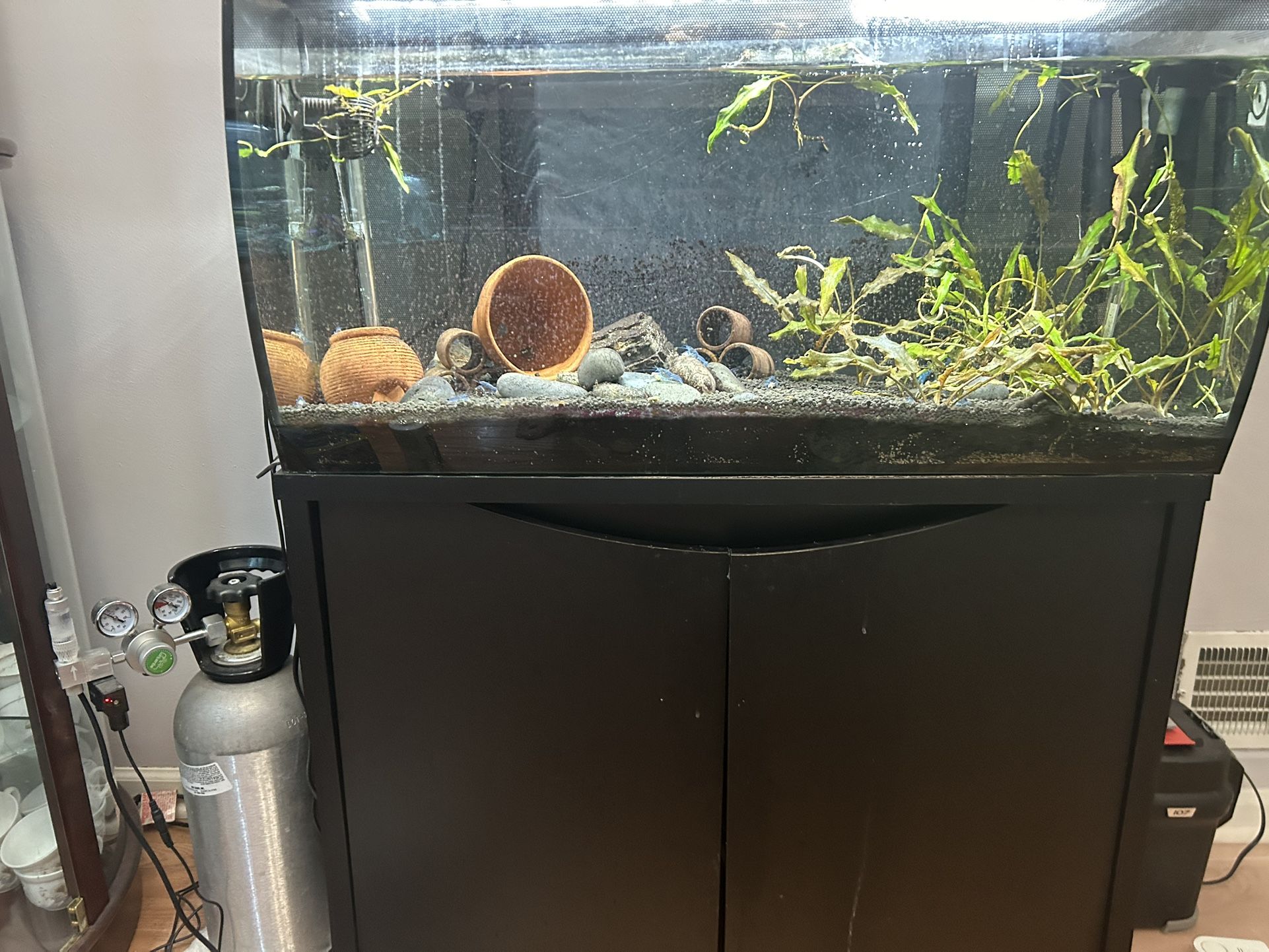 Fluval Flex 32 Gallon 