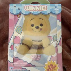 Winnie The Pooh Miniso Blind Box 