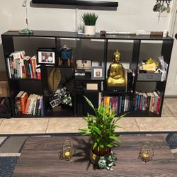 Book Shelve / Media Center 