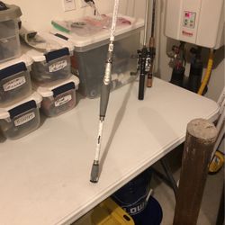 BPS Carbonlite, Casting