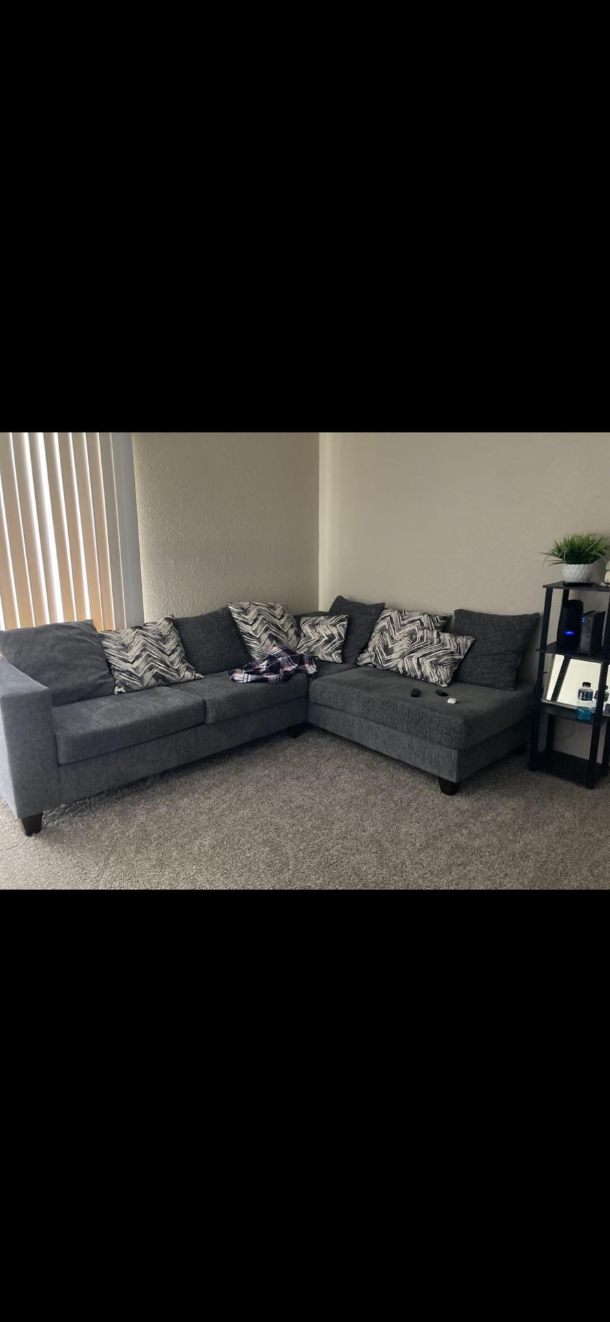 2 sectional couch