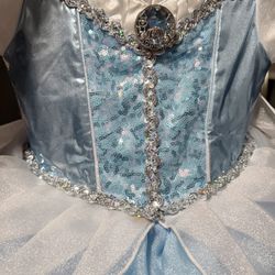 Cinderella Child Dress 
