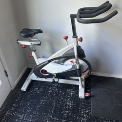 Gym Equipment (Bike, Weights, Bench)