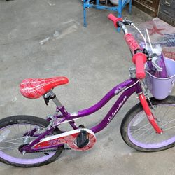 Schwinn Girl's Bicycle