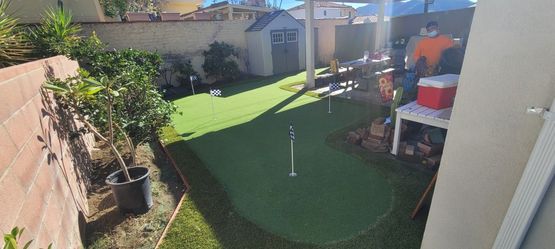 Artificial Grass