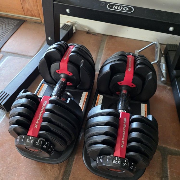 Bowflex Adjustable Dumbbells