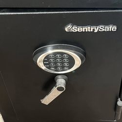 Sentry Safe 