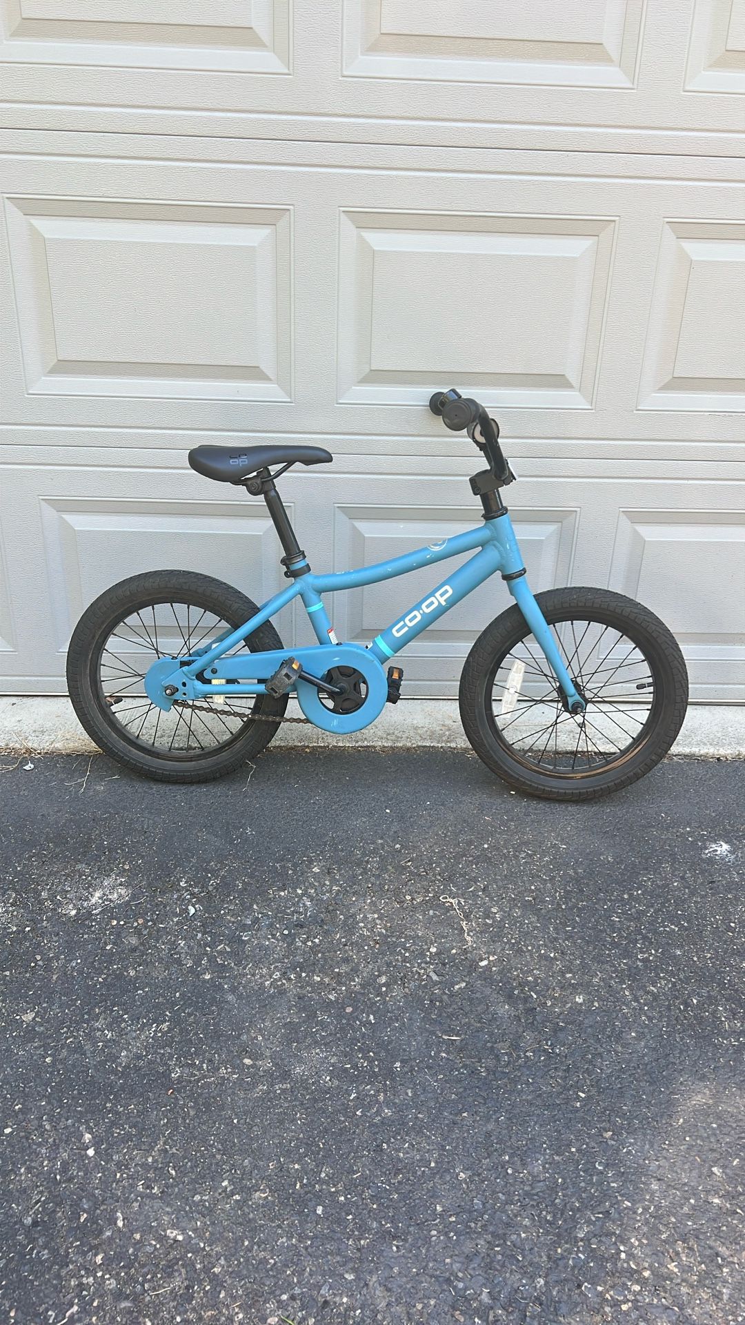 REI Rev 16 Kids Bike