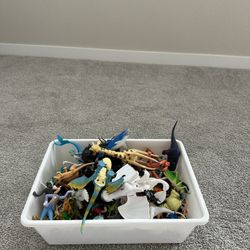 Gently Used Like New Toys 