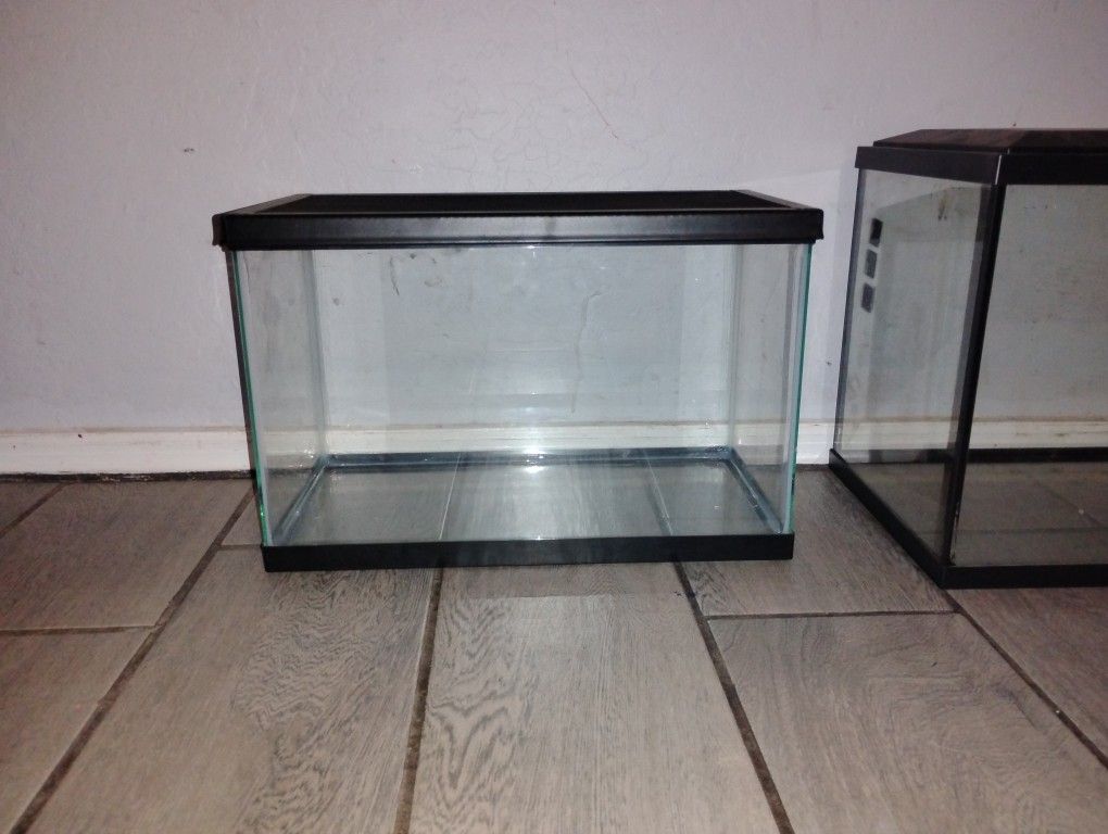 Fish Tank