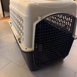 Large Dog Kennel