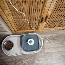 Fountain Pet Water 