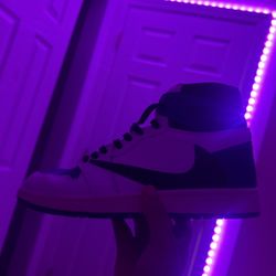 Travis 1  Size 12  Frag