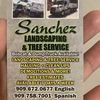 Mr Sanchez Service