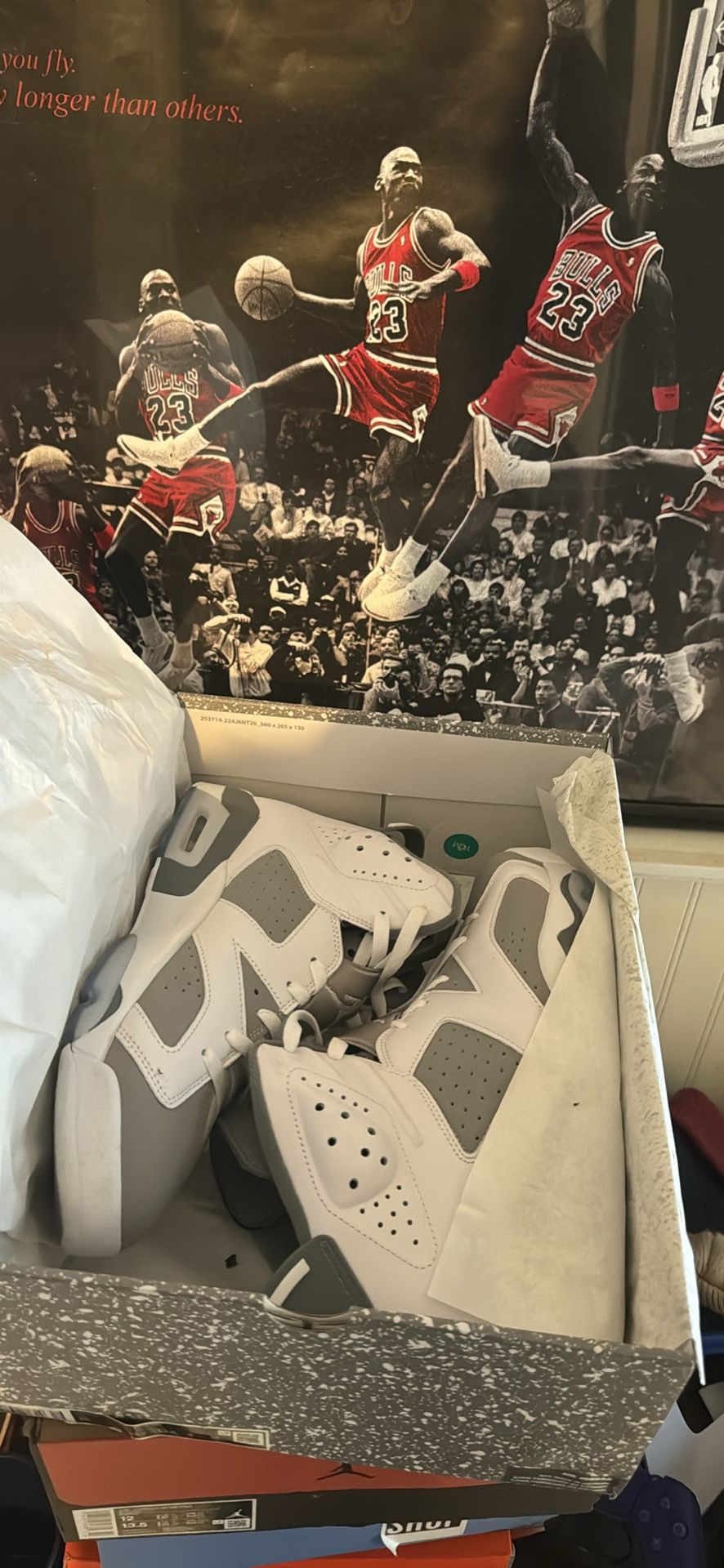 Jordan 6 Cool Grey