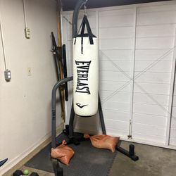 Everlast Punching Bag Barely Used 